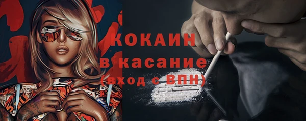 крисы Белокуриха