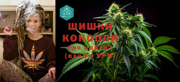 крисы Белокуриха