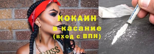 крисы Белокуриха