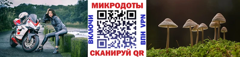 Купить где  Магас  Галлюциногенные грибы ЛСД 