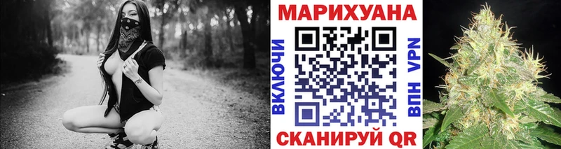 Купить  Магас  Бошки марихуана семена 
